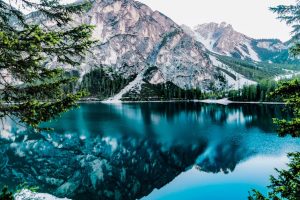 pexels photo 443446 443446